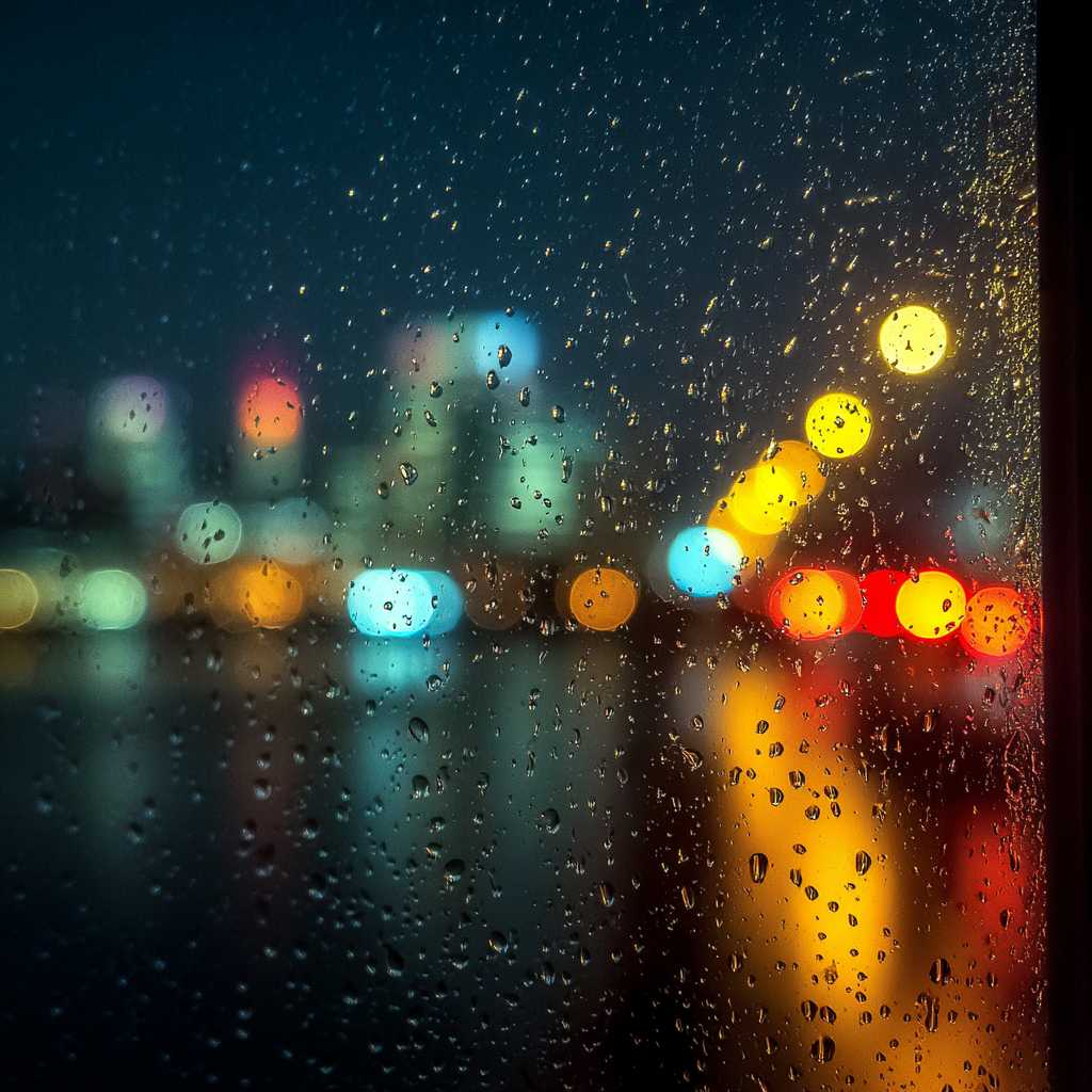 Beyond the Firewall How Your Digital Defense System Mirrors Your Bodys Immune Health