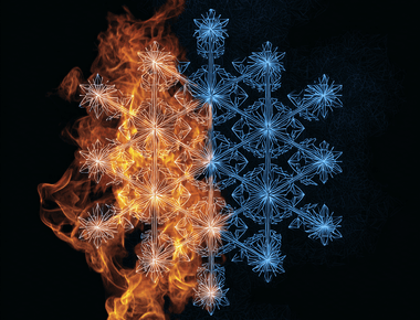 Snake Oil Uncovered The Shocking Truth About Historys Most Misunderstood Superfood