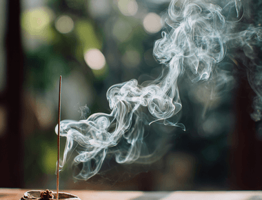 The Hidden Truth About Mold & Fungus Why Its Not About the Cheese