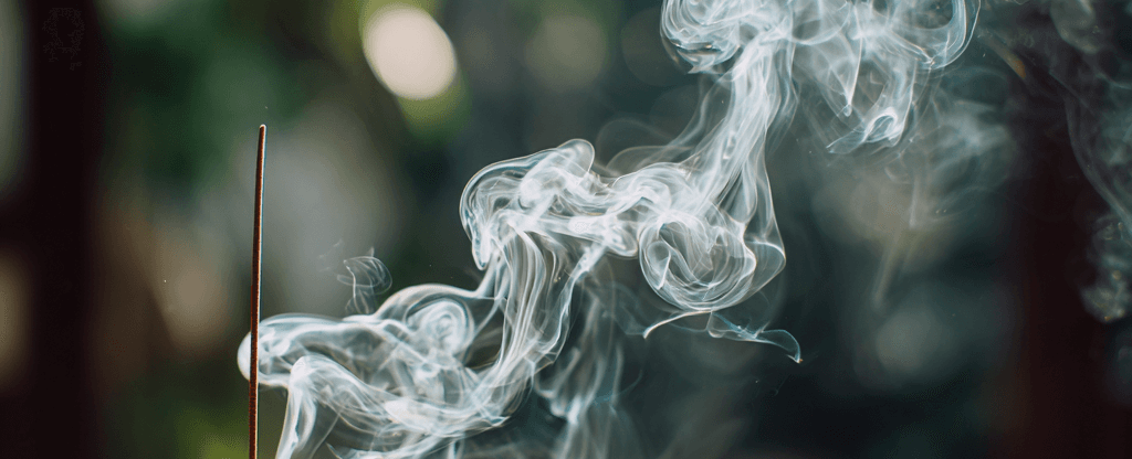 The Hidden Truth About Mold & Fungus Why Its Not About the Cheese