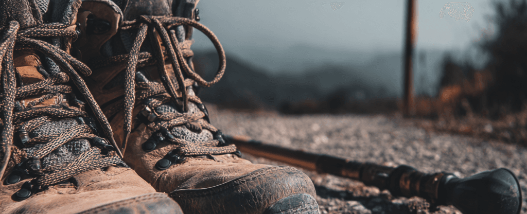 Beyond the Scalpel The New Hope in the Fight Against Glioblastoma (GBM)