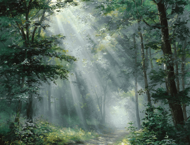 Your Bodys Built-In Cruise Control How to Automate Your Health for Effortless Energy