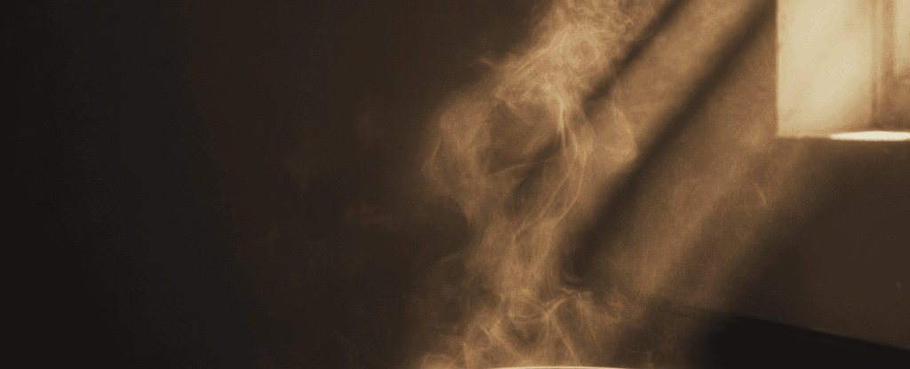 The Shocking Truth About Your Avocado Oil What Big Brands Dont Want You to Know