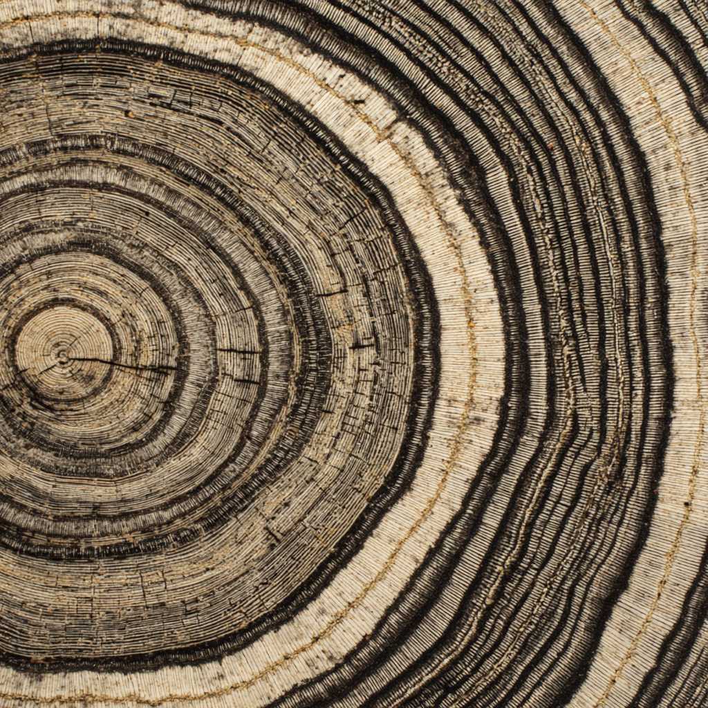 Dont Let a Stiff Big Toe Derail Your Life Your Guide to Hallux Limitus & Rigidus