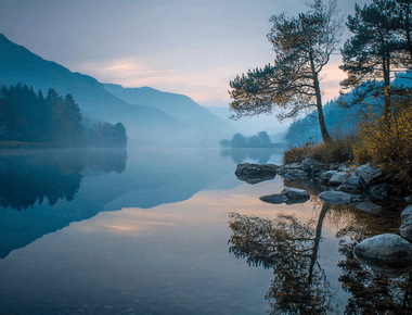 Face Your Fears, Dont Flee Them How Exposure Therapy Rewires an Anxious Brain