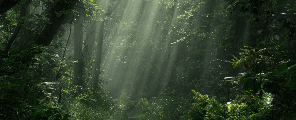 From Burnout to Brilliance Your Blueprint for a Sustainable Health Transformation