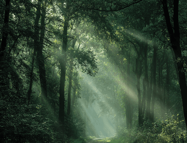 Forget Motivation How to Build Unbreakable Discipline and Mental Toughness for Lasting Energy