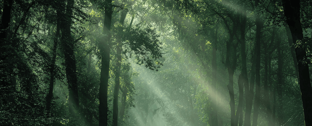 Forget Motivation How to Build Unbreakable Discipline and Mental Toughness for Lasting Energy