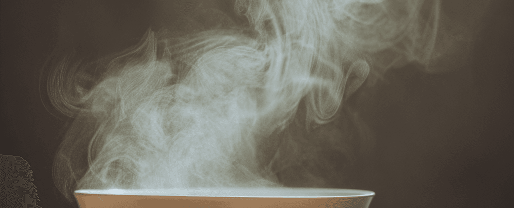 The Junk Food Trap Why You Cant Stop Eating and How to Break Free